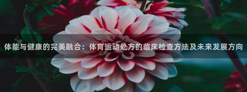 xc体育：体能与健康的完美融合：体育运动处方的临床检查方法及未来发展方向