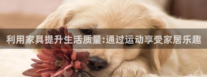 xc体育app官方网站：利用家具提升生活质量:通过运动享受家居乐趣