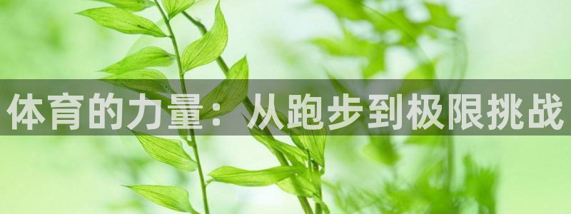 xc体育app官方网站：体育的力量：从跑步到极限挑战