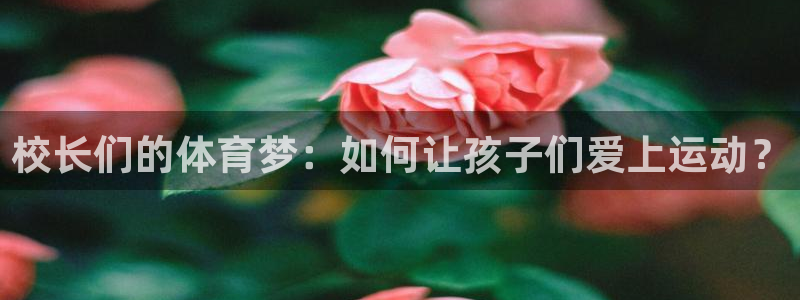 xc体育app官方网站